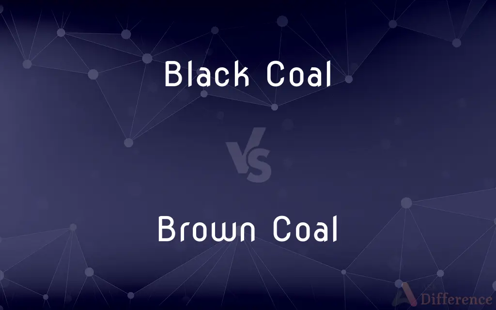 Black Coal vs. Brown Coal — What's the Difference?