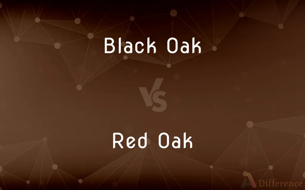 Black Oak vs. Red Oak — What's the Difference?