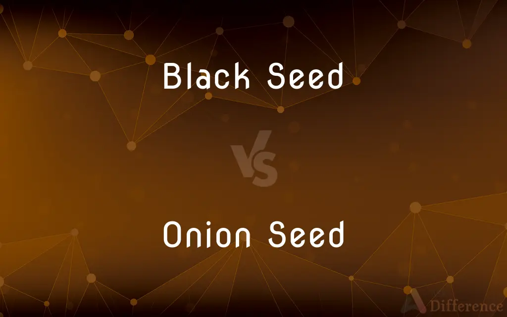 Black Seed vs. Onion Seed — What's the Difference?