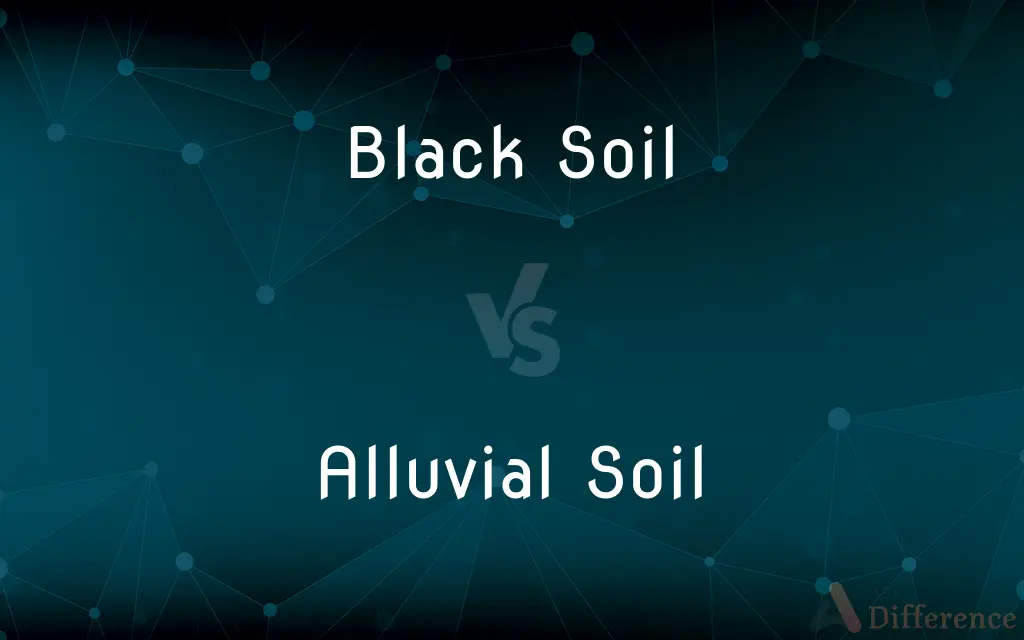 Black Soil vs. Alluvial Soil — What's the Difference?
