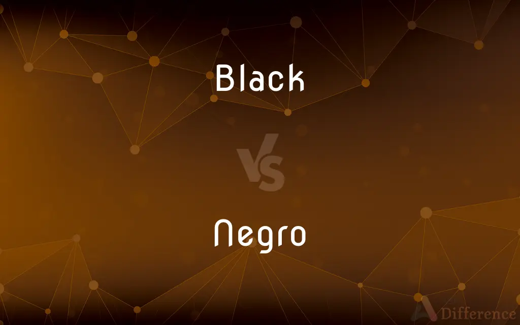 Black vs. Negro — What's the Difference?