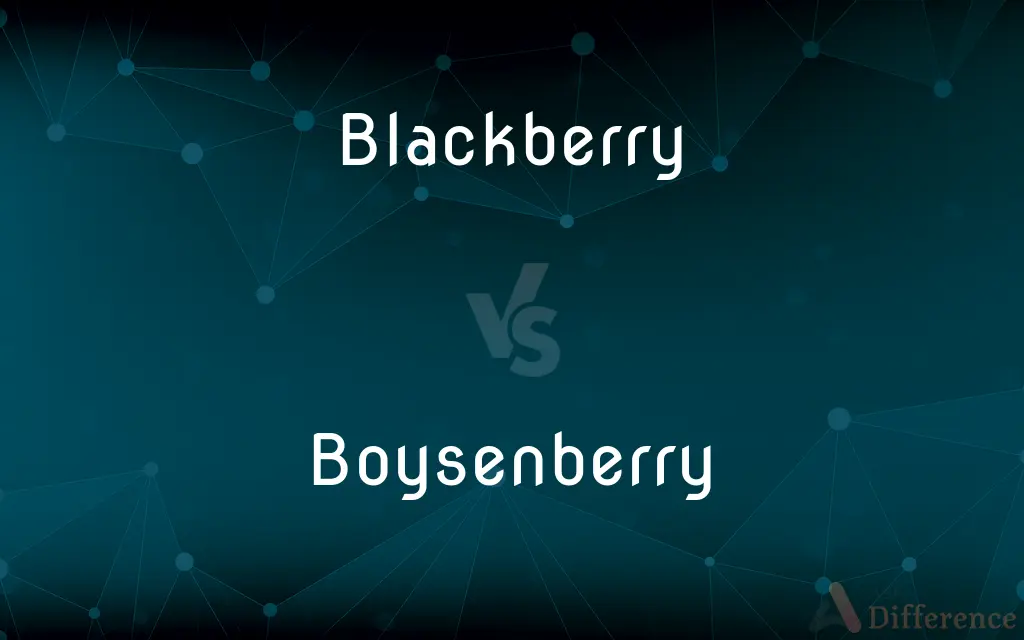 Blackberry vs. Boysenberry — What's the Difference?