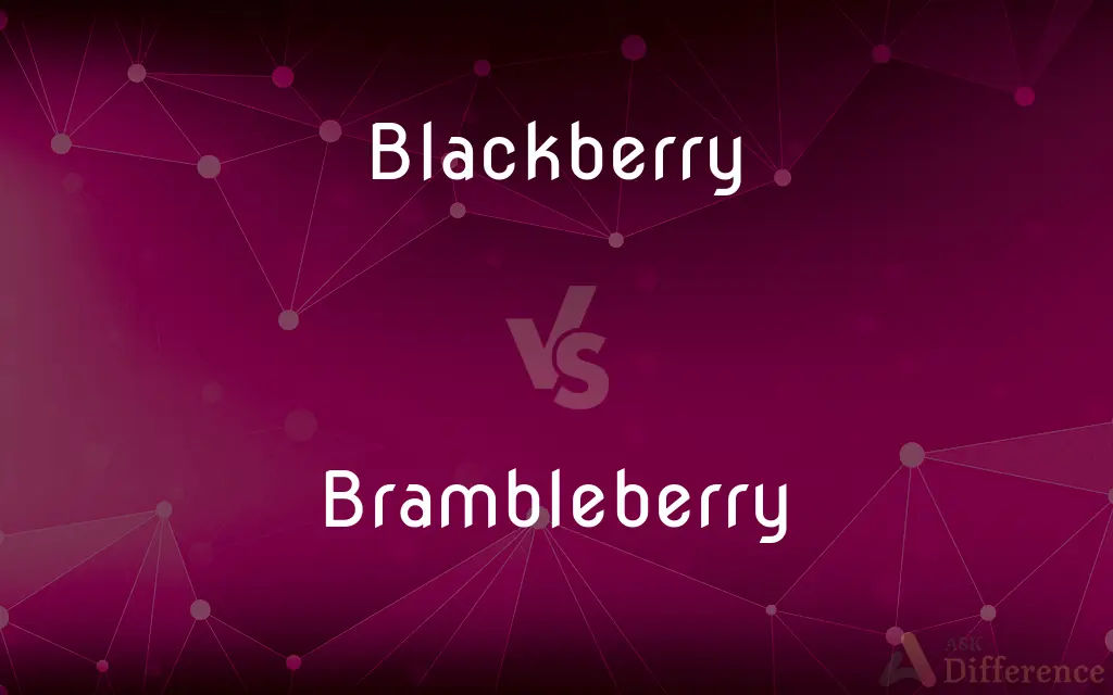 Blackberry vs. Brambleberry — What's the Difference?