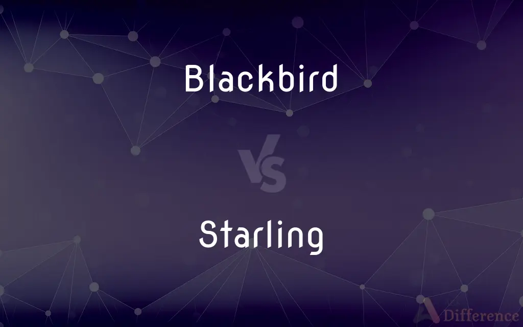 Blackbird vs. Starling — What's the Difference?