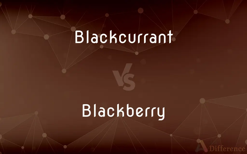 Blackcurrant vs. Blackberry — What's the Difference?