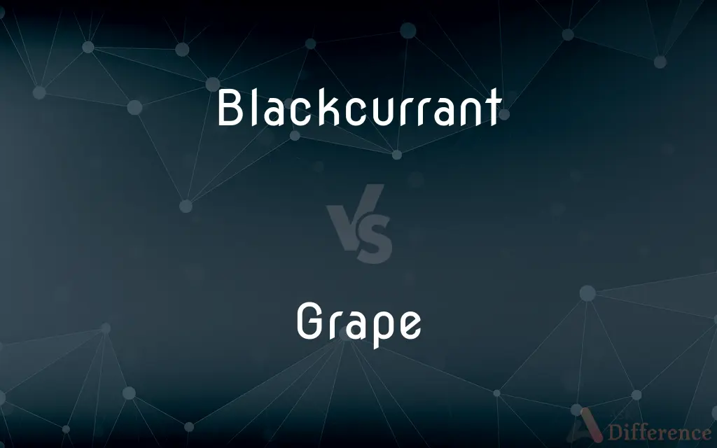 Blackcurrant vs. Grape — What's the Difference?