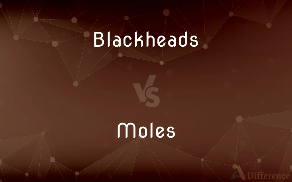 Blackheads vs. Moles — What's the Difference?