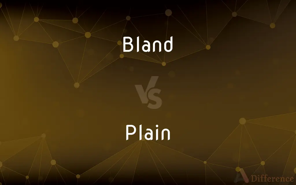 Bland vs. Plain — What's the Difference?