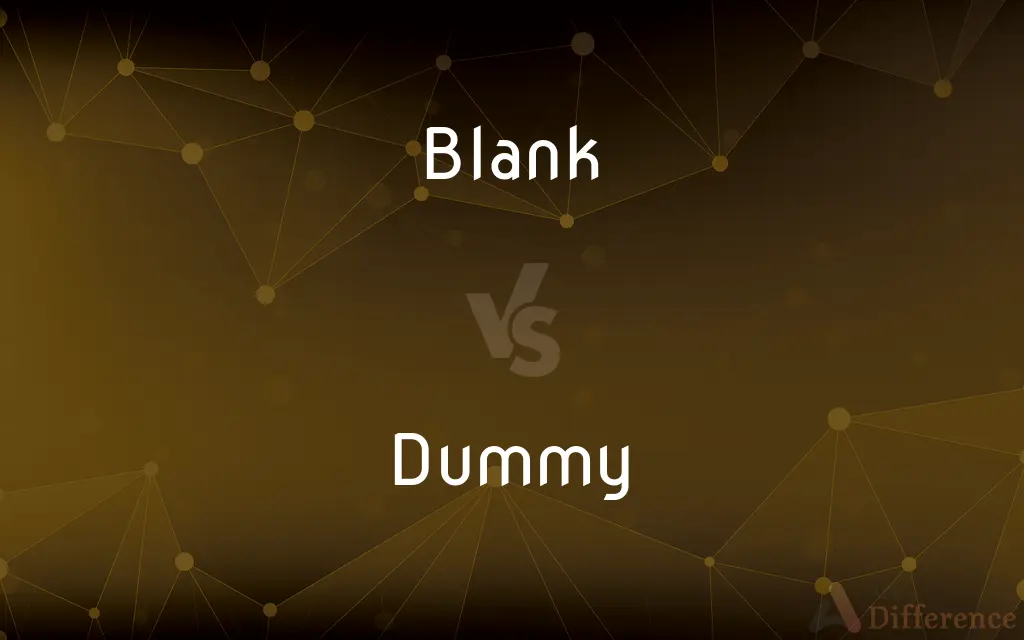 Blank vs. Dummy — What's the Difference?