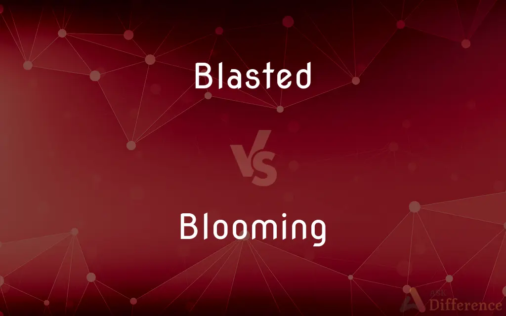 Blasted vs. Blooming — What's the Difference?