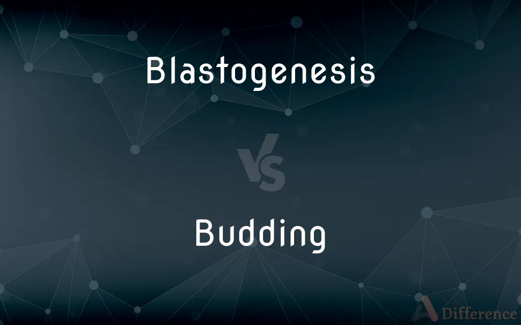 Blastogenesis vs. Budding — What's the Difference?