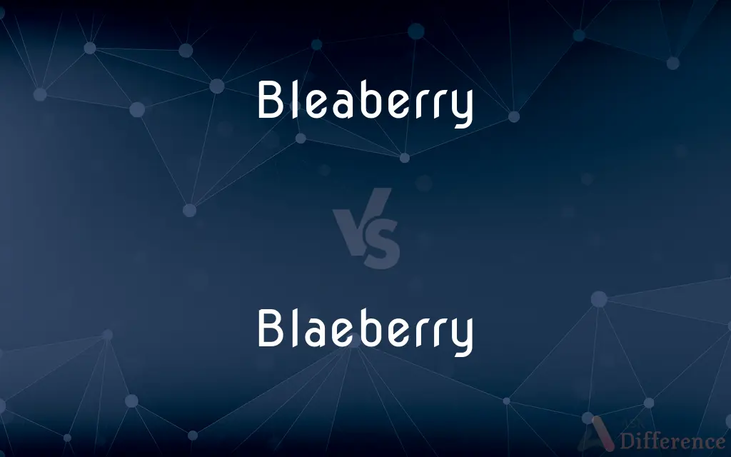 Bleaberry vs. Blaeberry — What's the Difference?