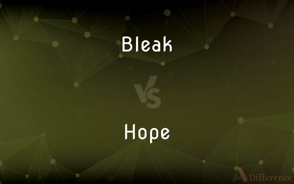Bleak vs. Hope — What's the Difference?
