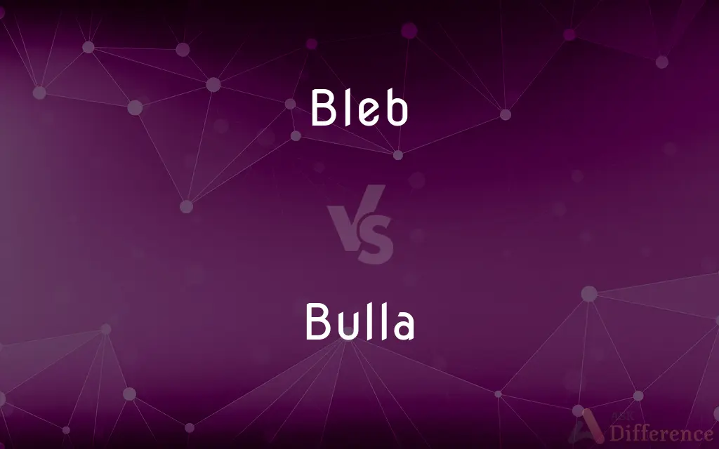 Bleb vs. Bulla — What's the Difference?