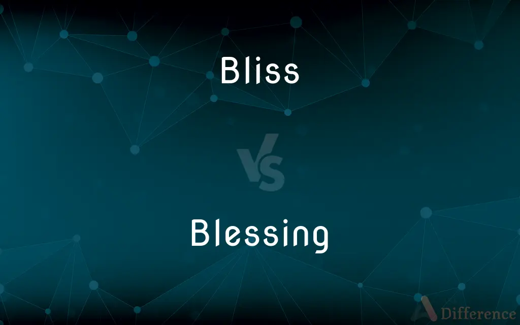 Bliss vs. Blessing — What's the Difference?