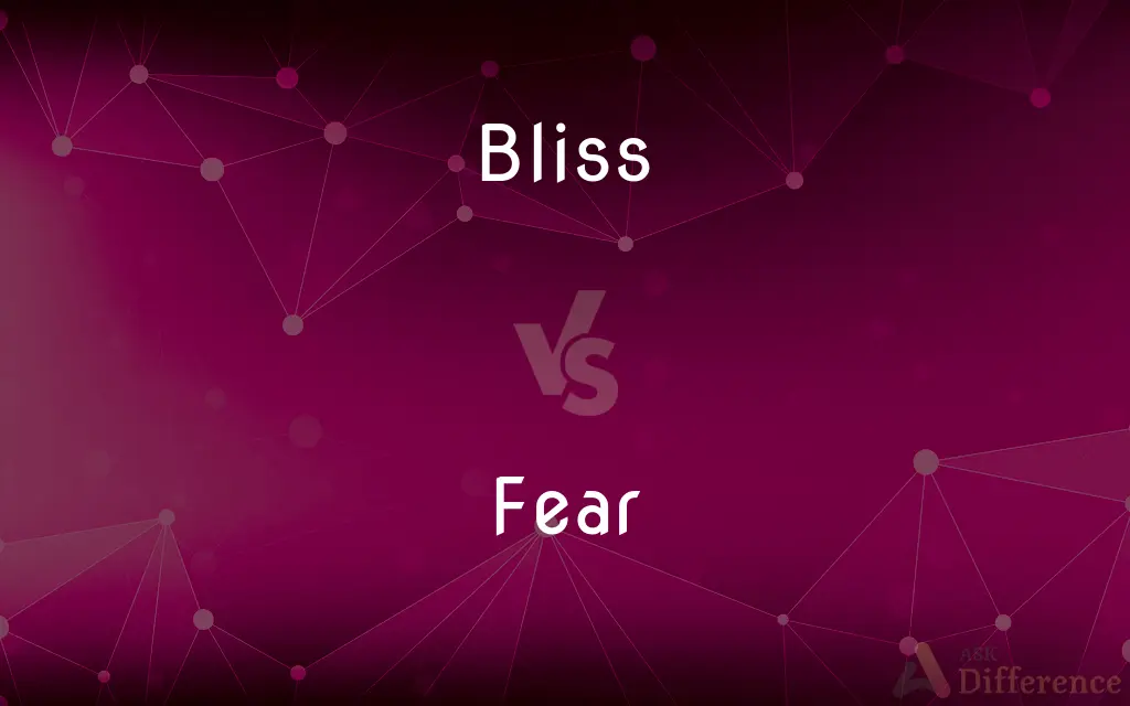 Bliss vs. Fear — What's the Difference?