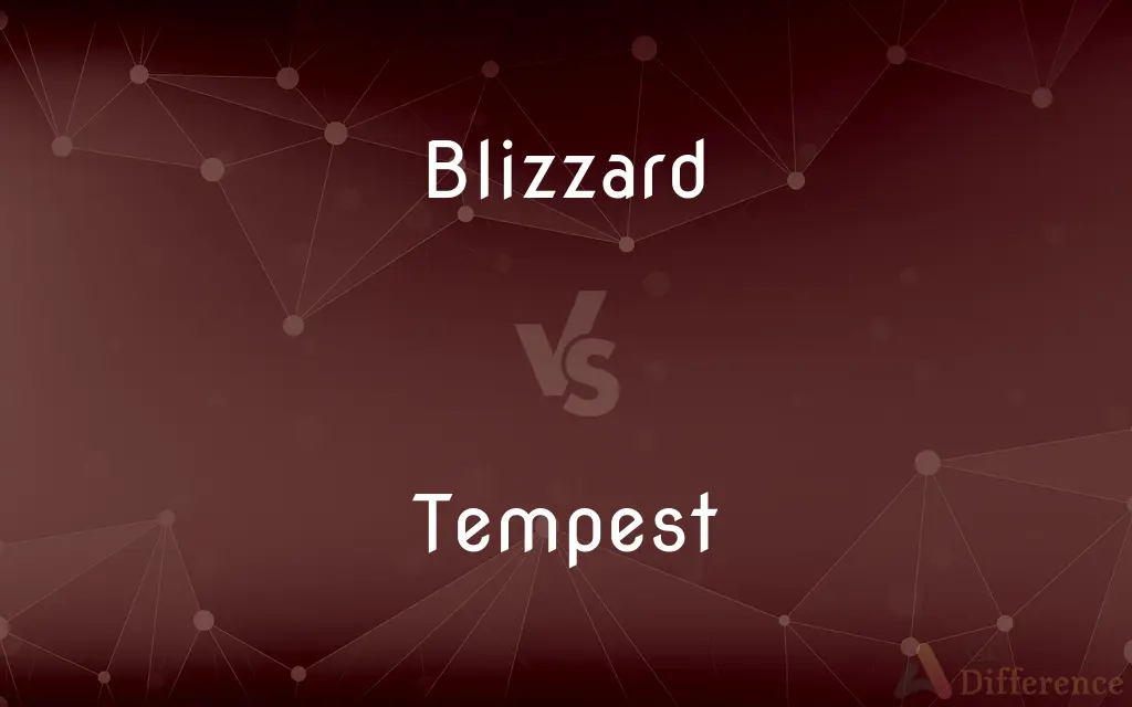 Blizzard vs. Tempest — What's the Difference?