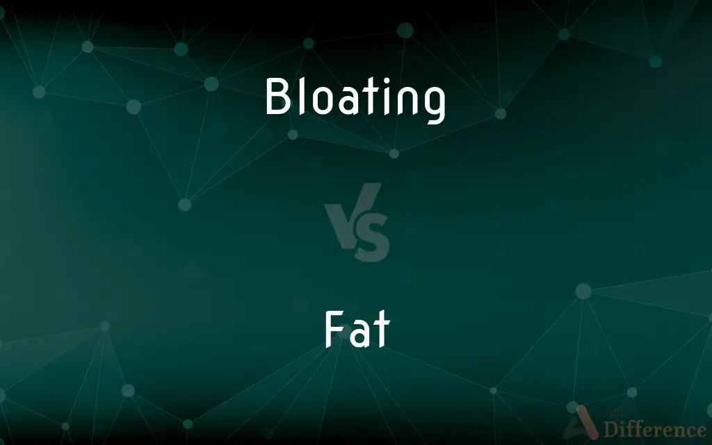 Bloating vs. Fat — What's the Difference?