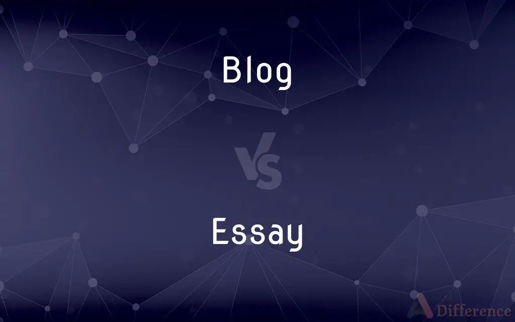 Blog vs. Essay — What's the Difference?