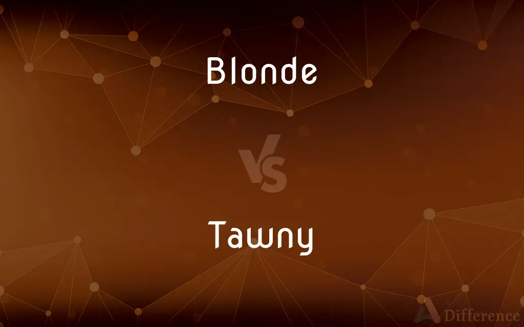Blonde vs. Tawny — What's the Difference?