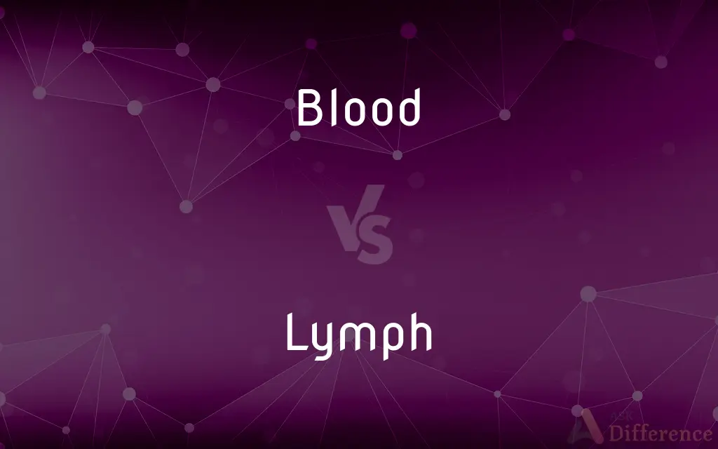 Blood vs. Lymph — What's the Difference?