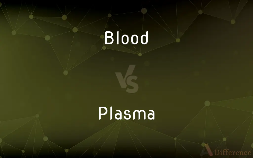 Blood vs. Plasma — What's the Difference?