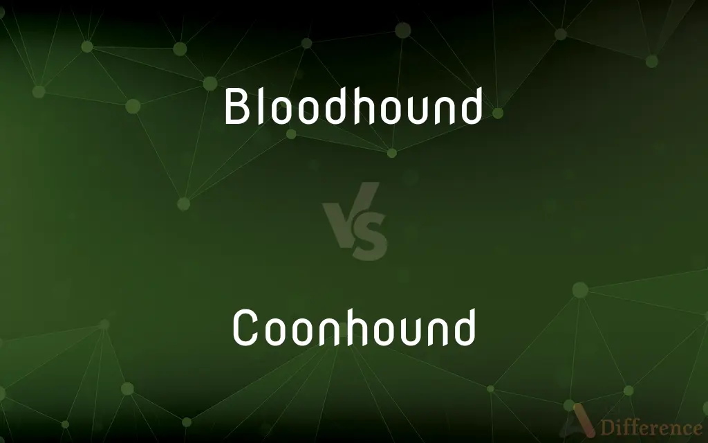 Bloodhound vs. Coonhound — What's the Difference?