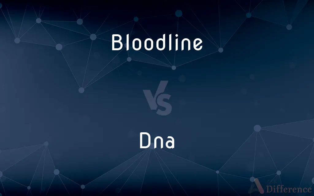 Bloodline vs. Dna — What's the Difference?