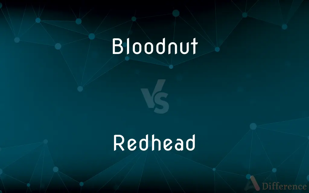 Bloodnut vs. Redhead — What's the Difference?