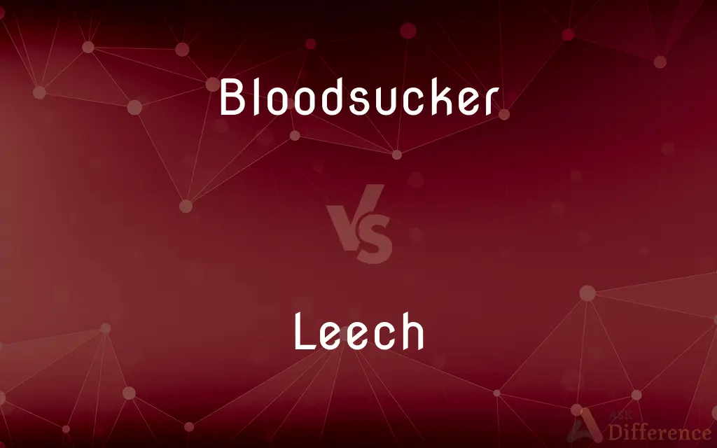 Bloodsucker vs. Leech — What's the Difference?