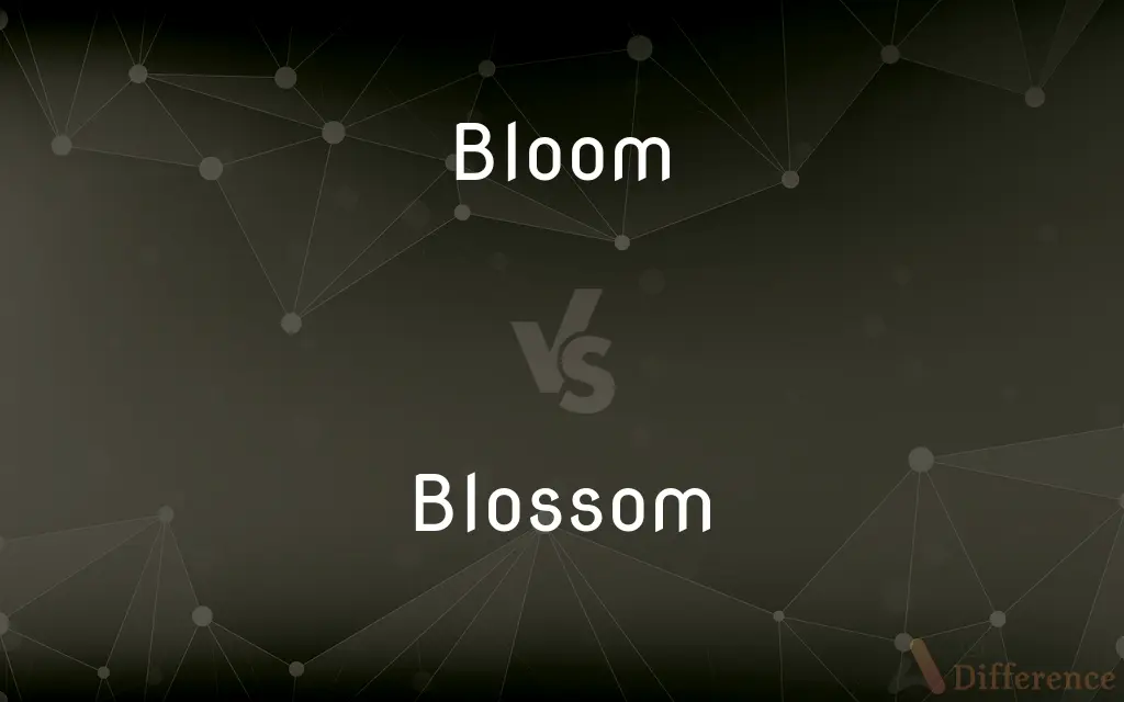 Bloom vs. Blossom — What's the Difference?
