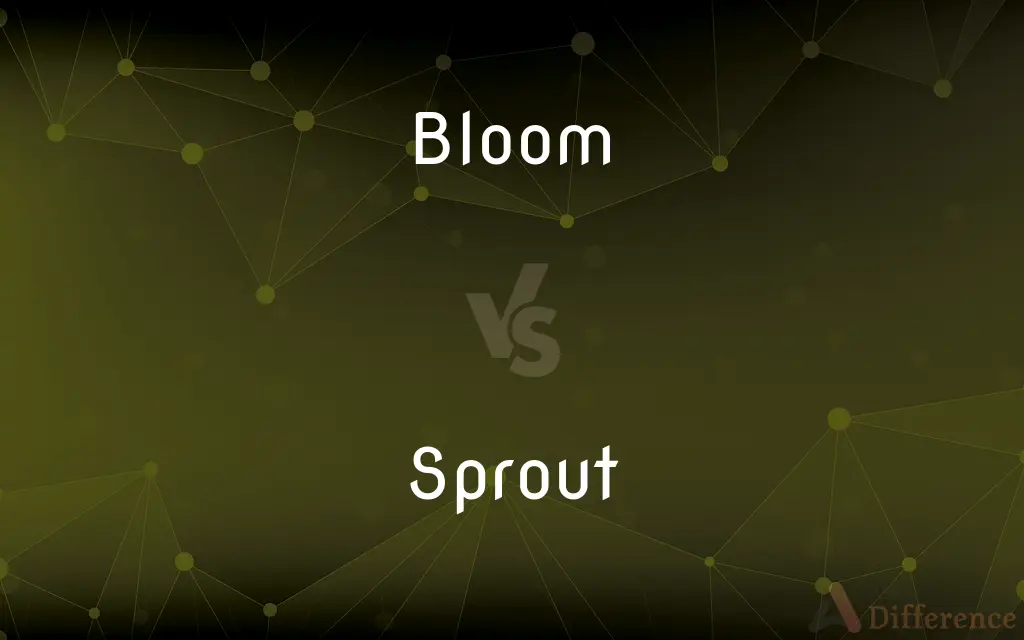 Bloom vs. Sprout — What's the Difference?