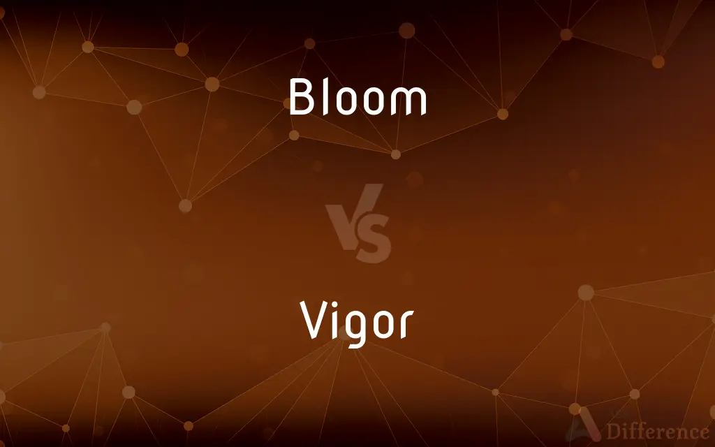 Bloom vs. Vigor — What's the Difference?