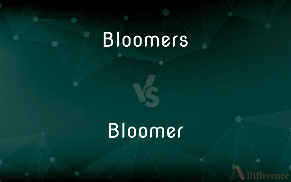 Bloomers vs. Bloomer — What's the Difference?