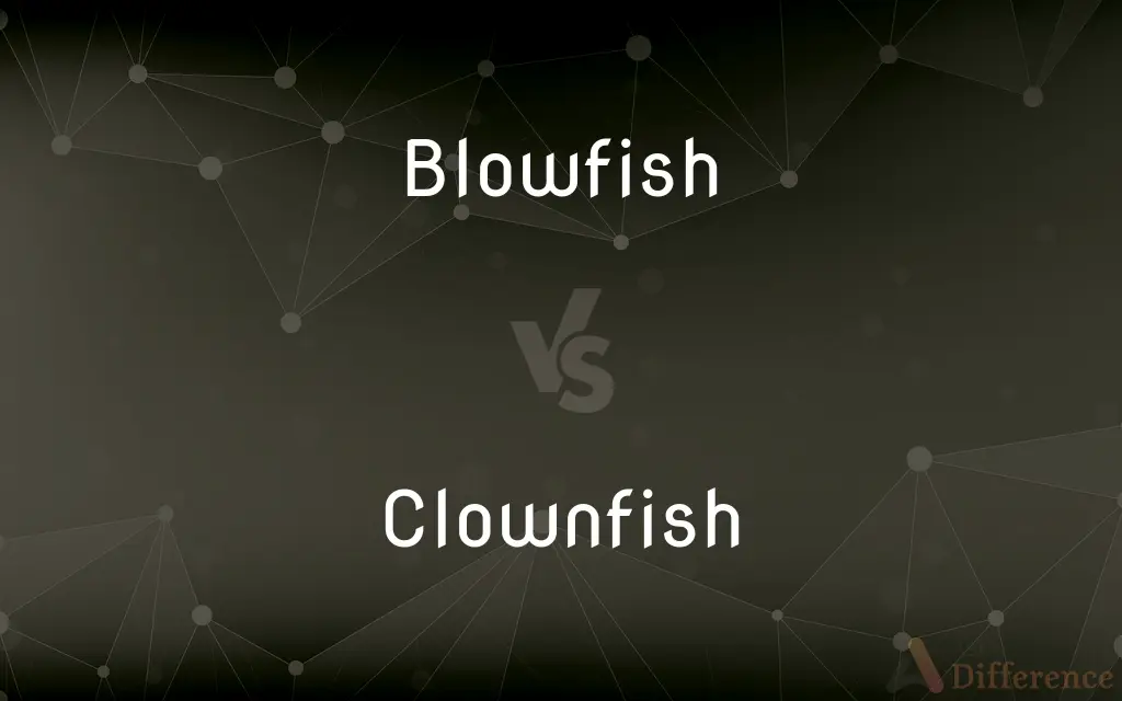 Blowfish vs. Clownfish — What's the Difference?