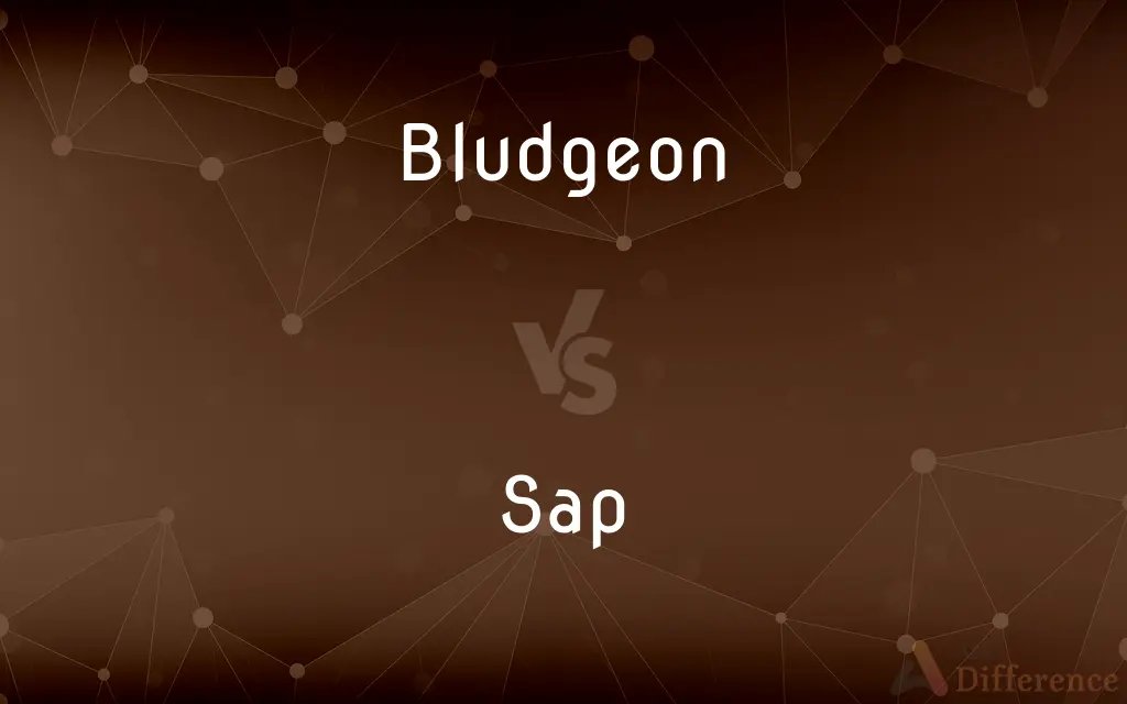 Bludgeon vs. Sap — What's the Difference?