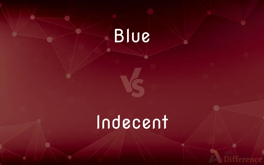 Blue vs. Indecent — What's the Difference?