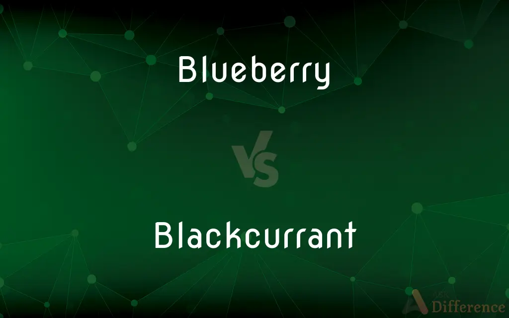 Blueberry vs. Blackcurrant — What's the Difference?