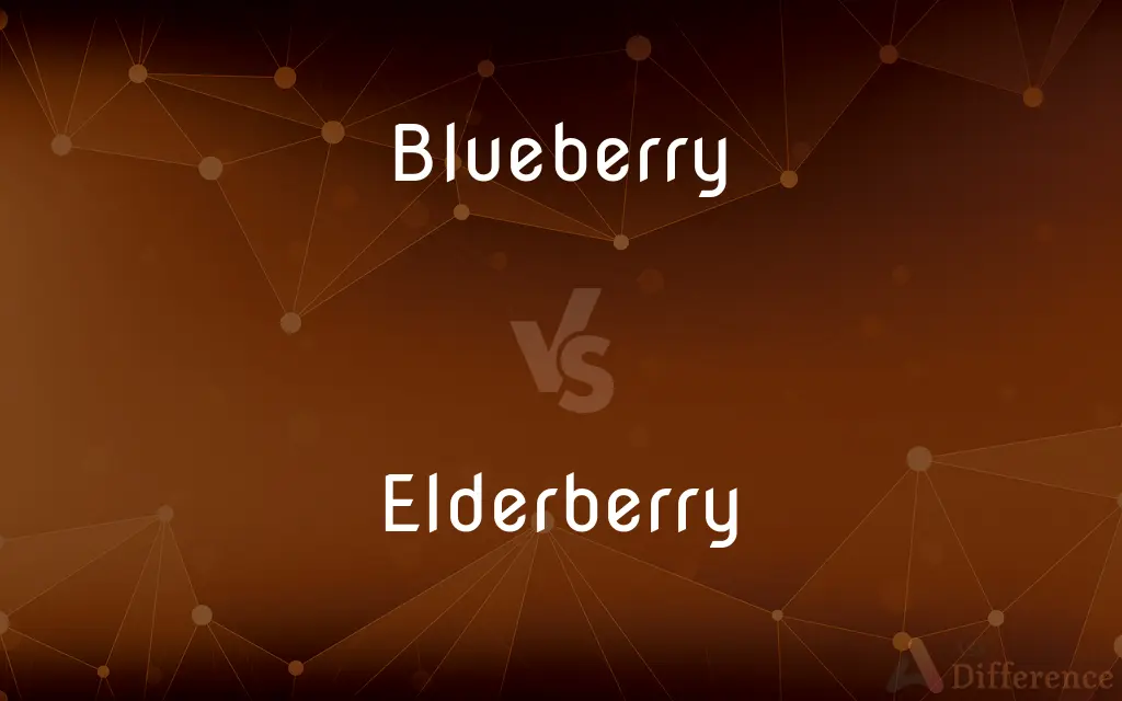 Blueberry vs. Elderberry — What's the Difference?