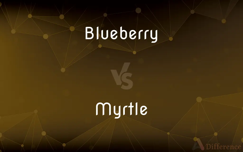 Blueberry vs. Myrtle — What's the Difference?