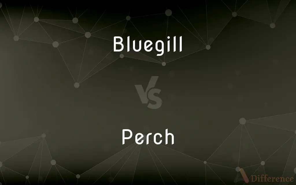Bluegill vs. Perch — What's the Difference?