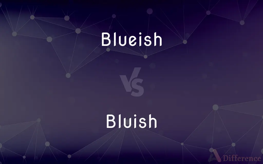 Blueish vs. Bluish — What's the Difference?