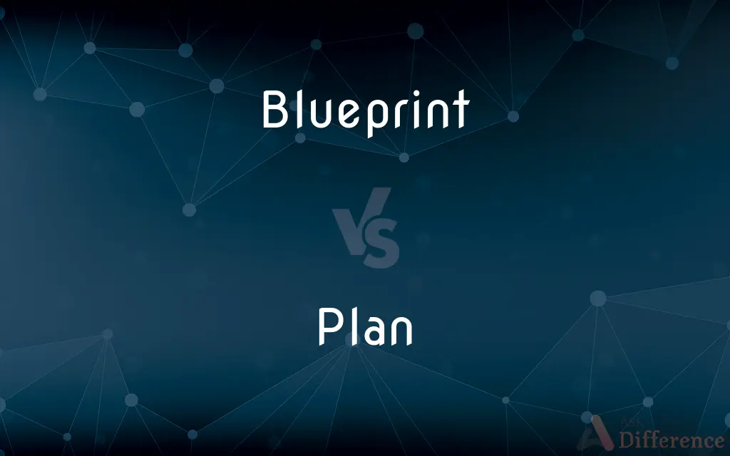 Blueprint vs. Plan — What's the Difference?