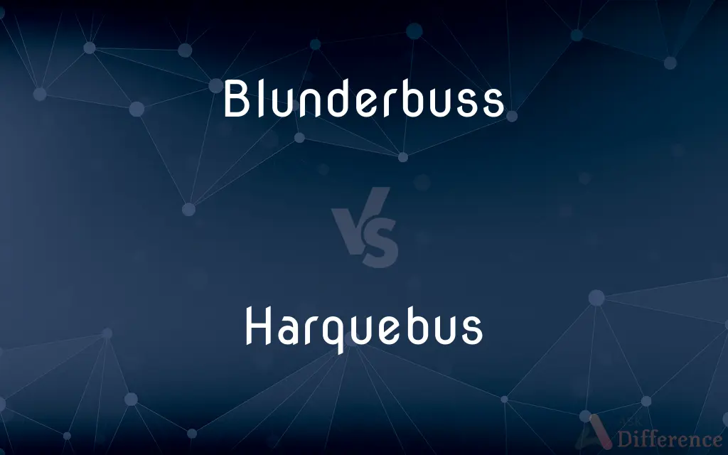 Blunderbuss vs. Harquebus — What's the Difference?