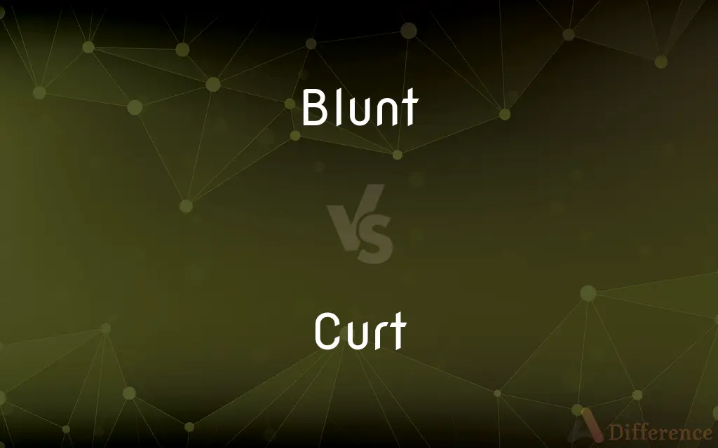 Blunt vs. Curt — What's the Difference?