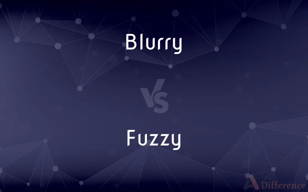Blurry vs. Fuzzy — What's the Difference?