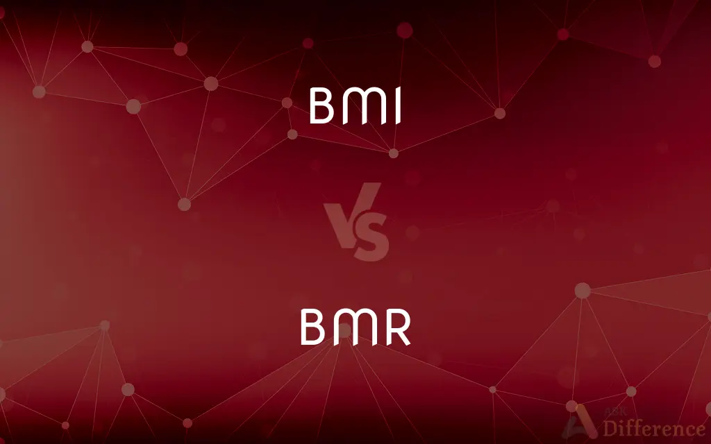 BMI vs. BMR — What's the Difference?