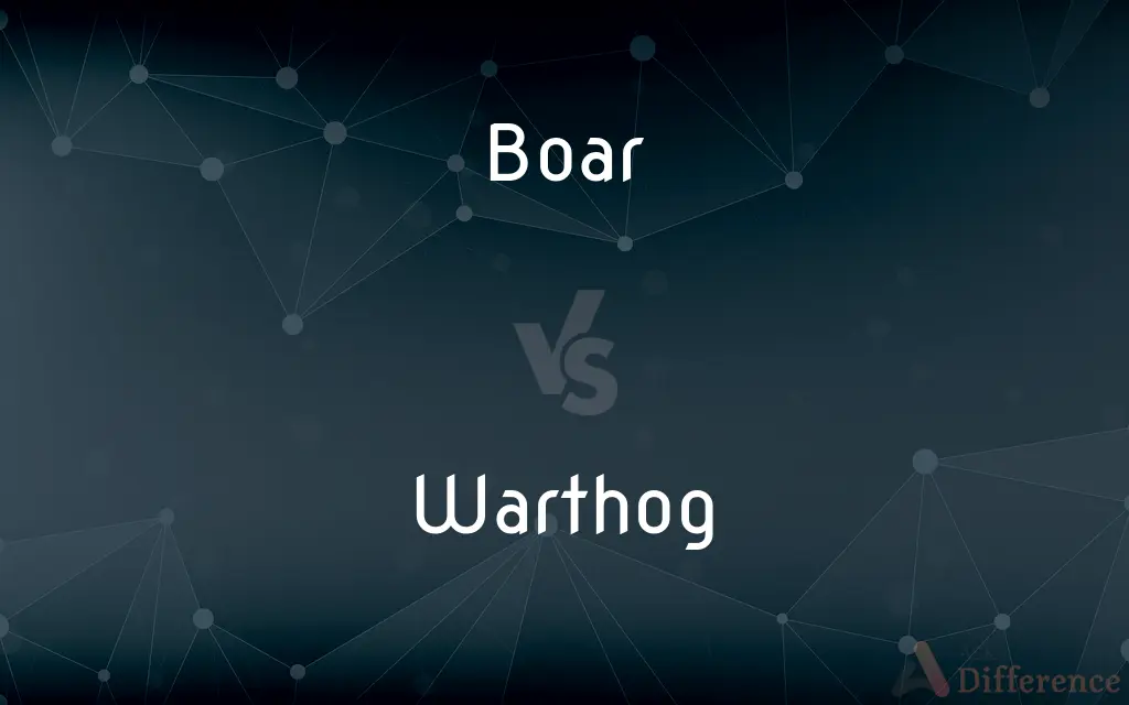 Boar vs. Warthog — What's the Difference?