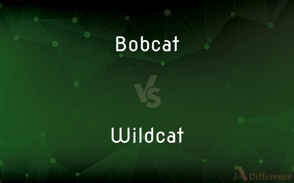 Bobcat vs. Wildcat — What's the Difference?