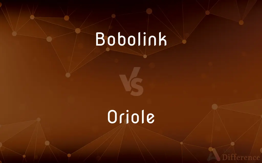 Bobolink vs. Oriole — What's the Difference?
